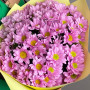 9 розовых кустовых хризантем — вид 4